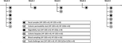 Effects of High-Fat Diet at Two Energetic Levels on Fecal Microbiota, Colonic Barrier, and Metabolic Parameters in Dogs